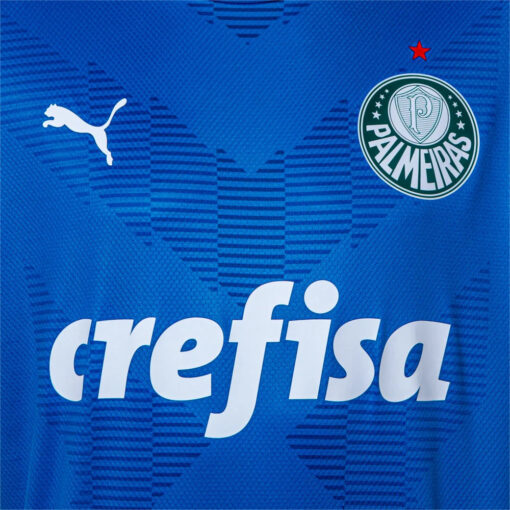 Camisa do Palmeiras 2022/23 Goleiro - Image 3